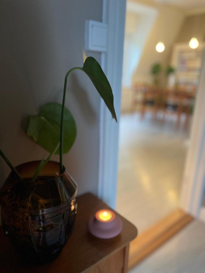Charming Apartment In Alesund Center With Free Parking Dış mekan fotoğraf